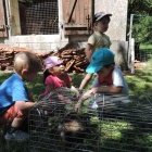 Des Enfants admirant un lapin dans ça cage.