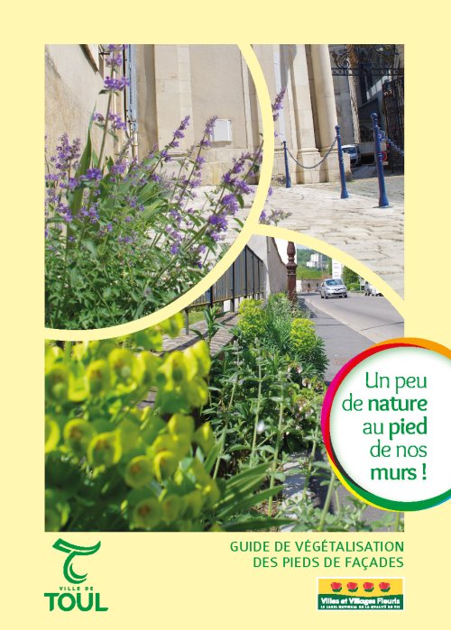 Plaquette pieds de façades